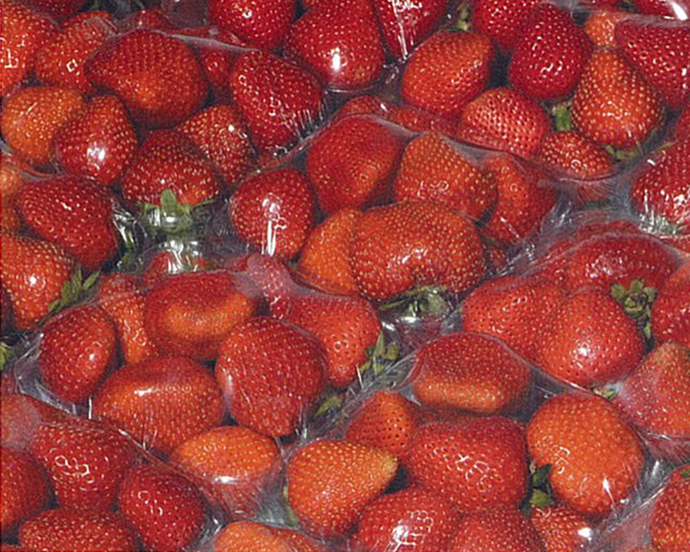 Strawberries wrapped in produce film